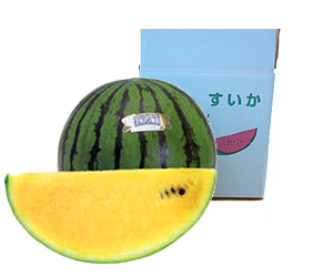 すいか産直販売｜山本すいか・落花生農園