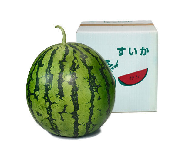 縞王マックス4L　１個入り