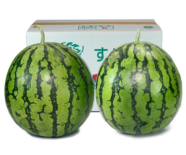 縞王マックス4L ２個入り